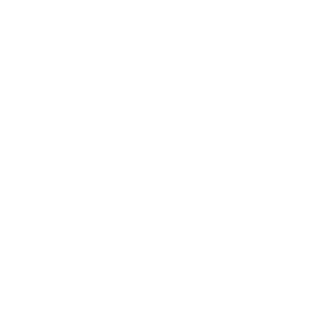 NMAP.LT logo